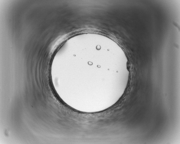 X0000099400007200805291219