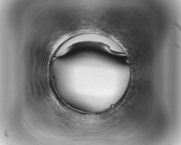 X0000099400008200805291219