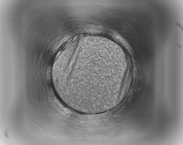 X0000099400009200805291219