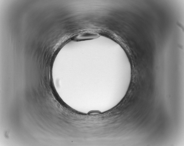 X0000099400011200805291219