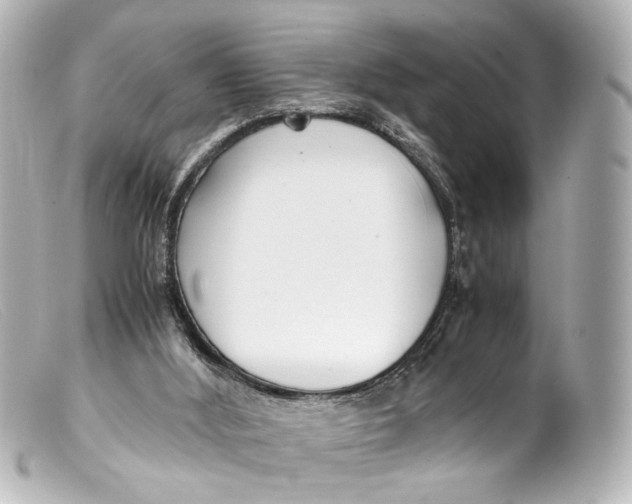 X0000099400012200805291219