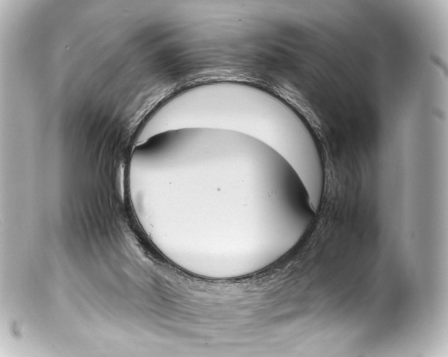 X0000099400014200805291219