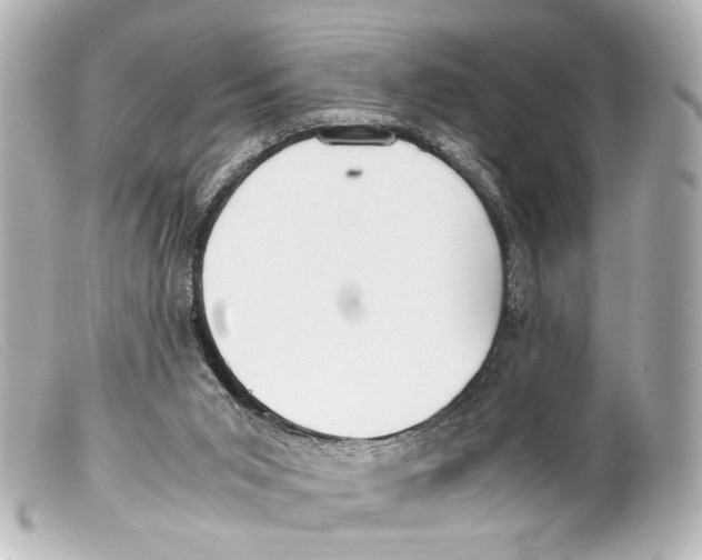 X0000099400015200805291219