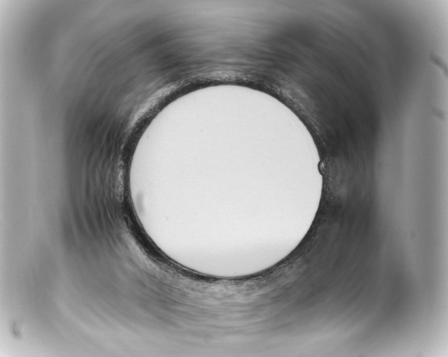 X0000099400016200805291219