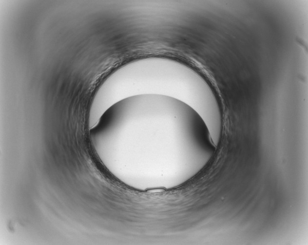 X0000099400018200805291219