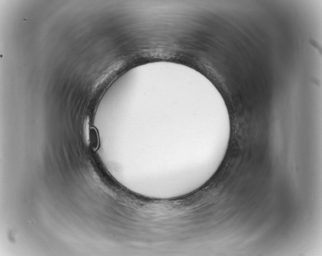 X0000099400020200805291219