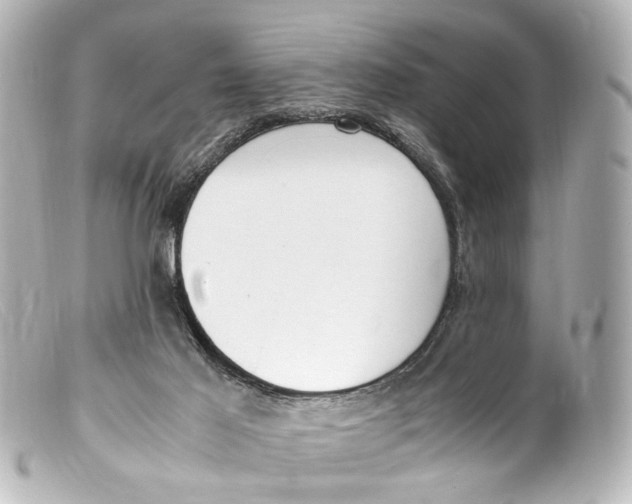 X0000099400021200805291219