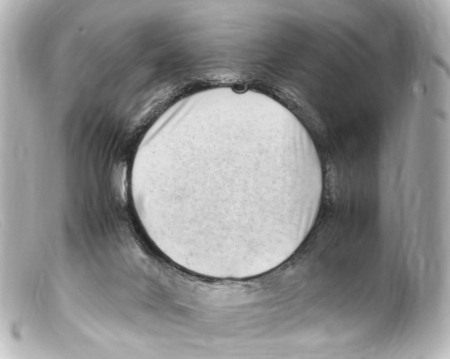 X0000099400024200805291219