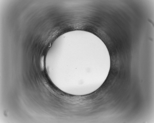 X0000099400028200805291219