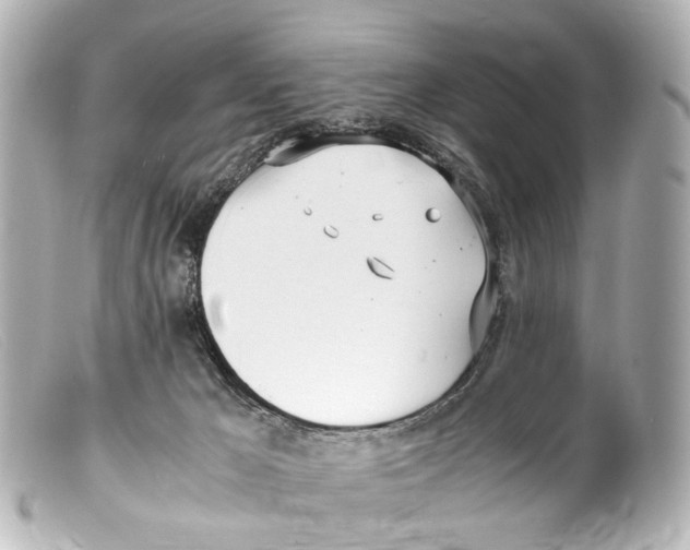 X0000099400029200805291219