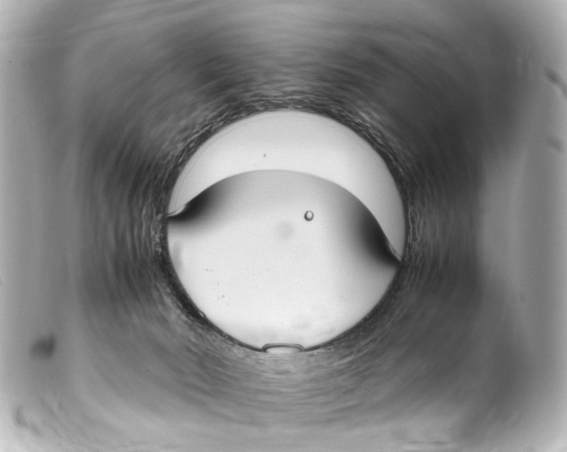 X0000099400030200805291219