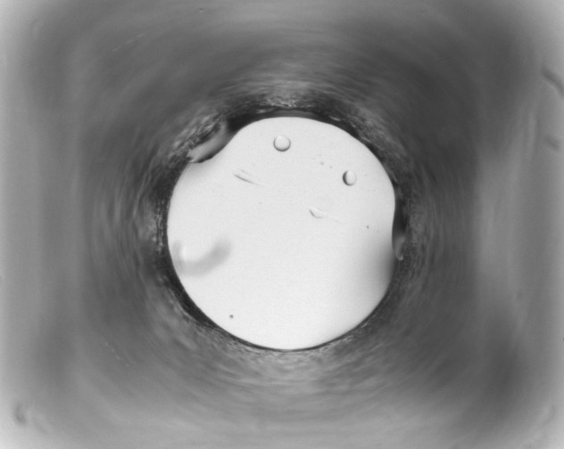 X0000099400031200805291219