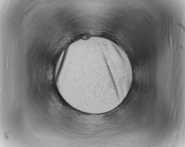 X0000099400032200805291219
