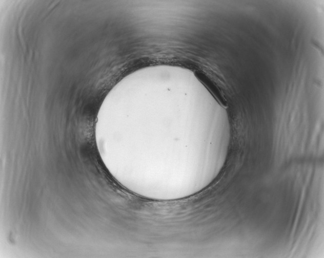 X0000099400033200805291219