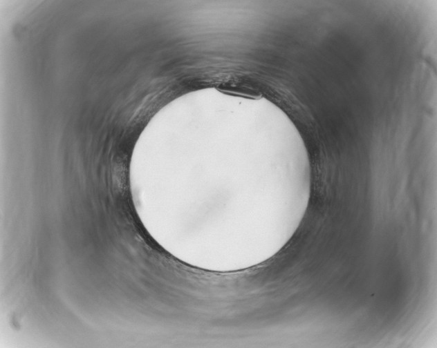 X0000099400035200805291219
