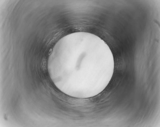 X0000099400036200805291219