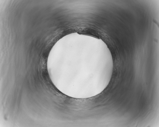 X0000099400037200805291219