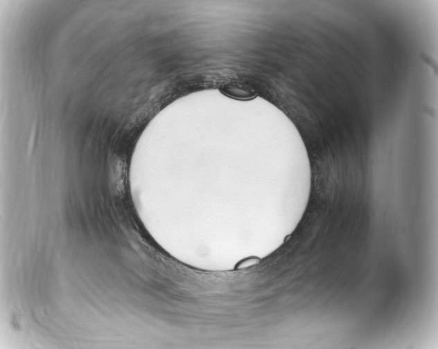 X0000099400038200805291219