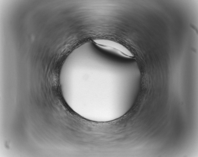 X0000099400039200805291219