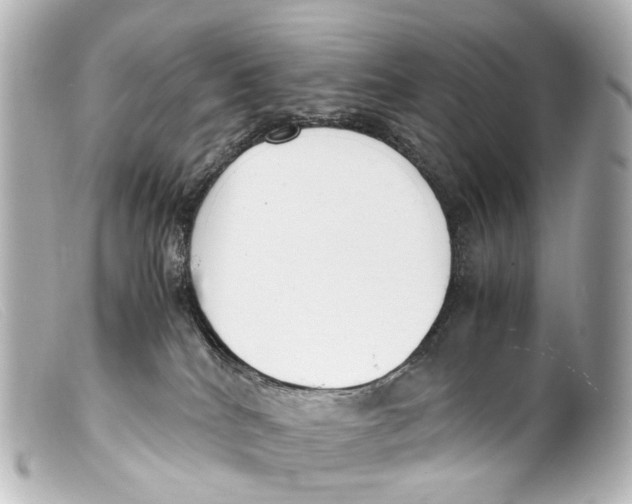 X0000099400040200805291219