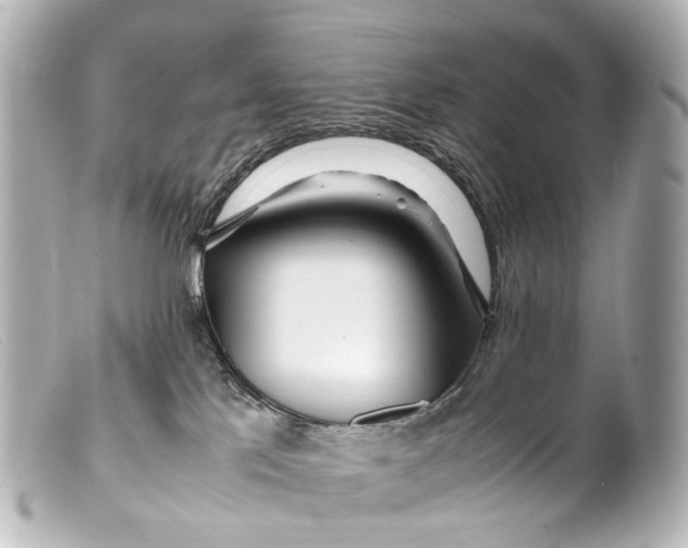 X0000099400041200805291219