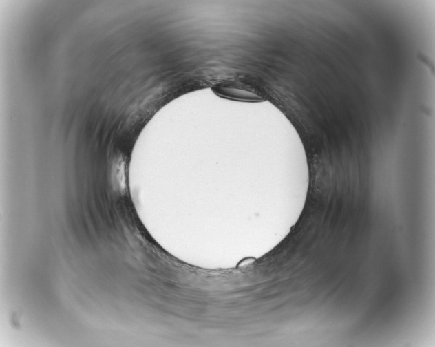 X0000099400042200805291219