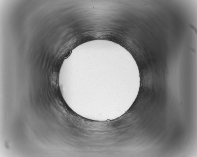 X0000099400044200805291219
