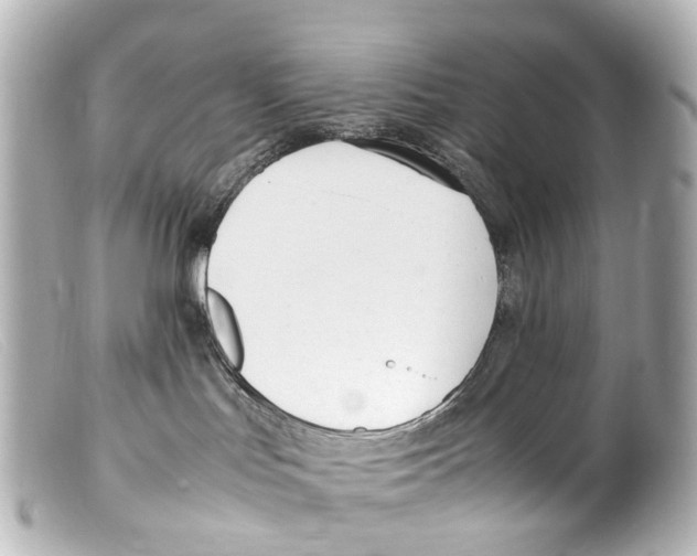 X0000099400047200805291219
