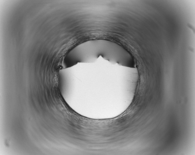 X0000099400048200805291219