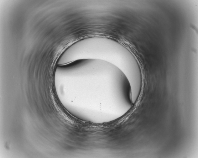 X0000099400049200805291218