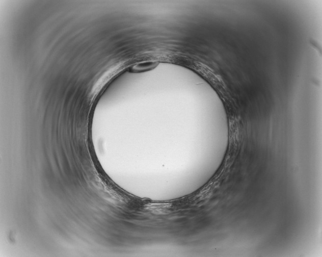 X0000099400051200805291218