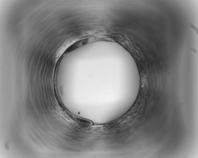 X0000099400052200805291218