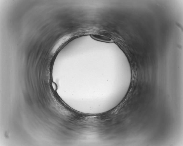 X0000099400054200805291218