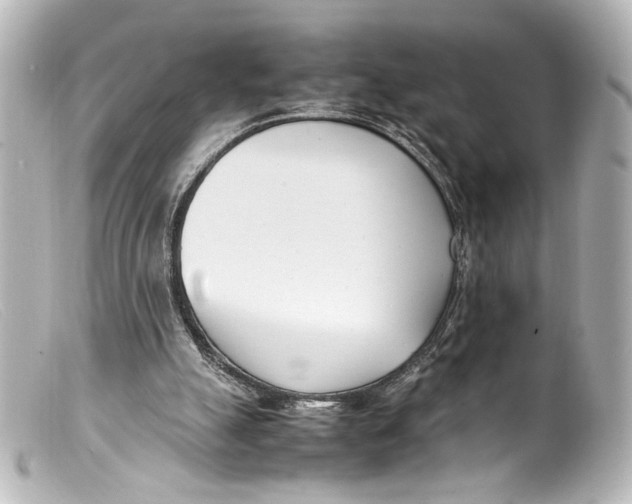 X0000099400055200805291218