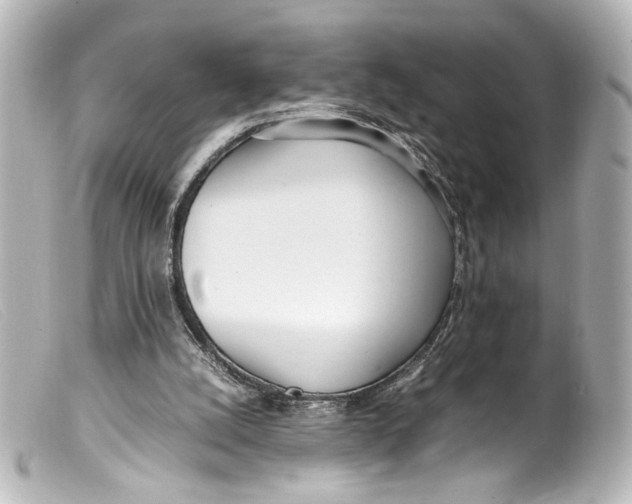 X0000099400056200805291218