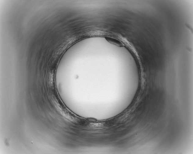 X0000099400057200805291218
