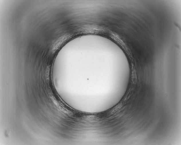 X0000099400058200805291218