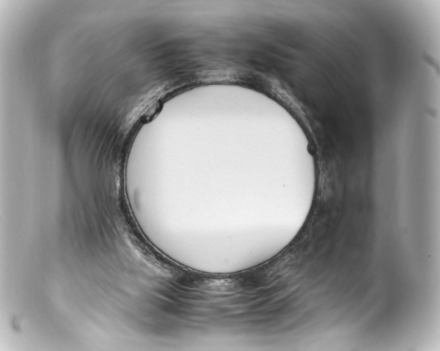 X0000099400059200805291218