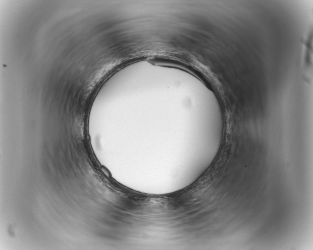 X0000099400060200805291218