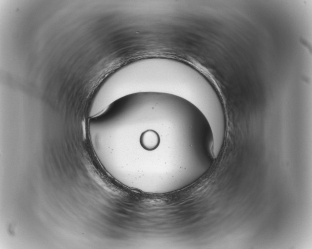 X0000099400061200805291218