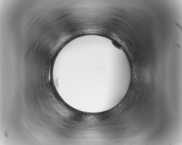 X0000099400062200805291218