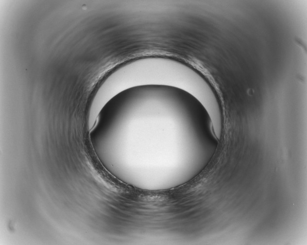X0000099400063200805291218