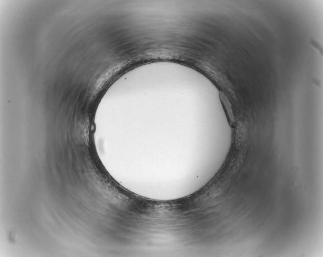 X0000099400064200805291218