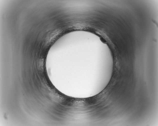 X0000099400066200805291218