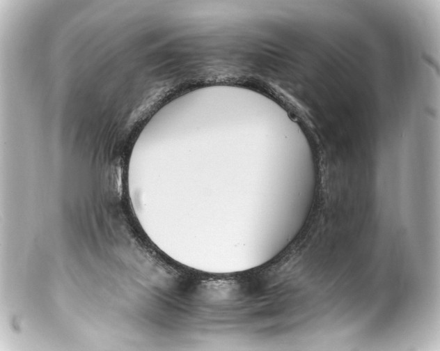 X0000099400067200805291218