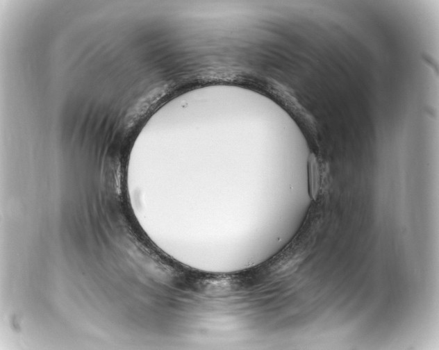 X0000099400068200805291218