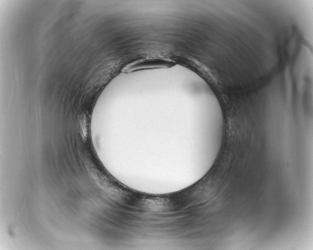 X0000099400069200805291218