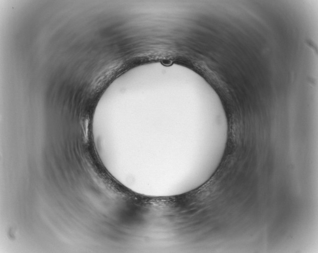 X0000099400070200805291218
