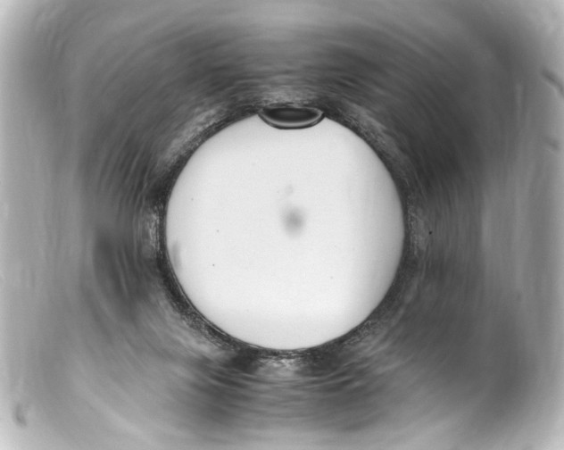 X0000099400071200805291218