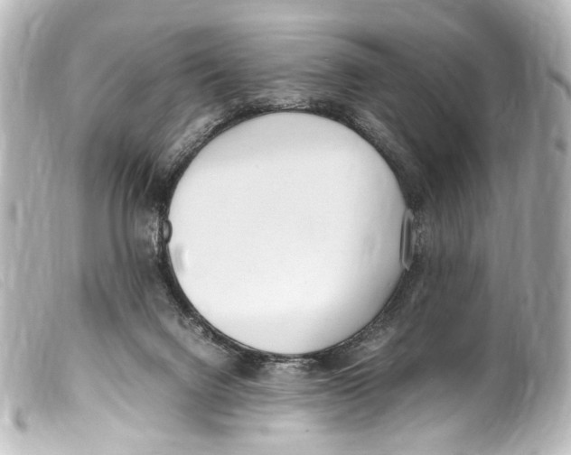 X0000099400072200805291218
